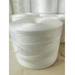 1000m/kg 1200m/kg White Polypropylene PP Tomato Grow Tying Strong Twine for Field or Greenhouse Use for sale