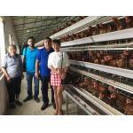 3, 4, 5 Tiers A Frame Layer Cages Chicken Poultry Laying Hens House Equipment for sale