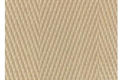 China Acid And Alkali Resisting Polyester Mesh Screen For Sludge Dewatering supplier