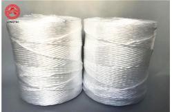 China Non Stretch Polypropylene Twine , Solid Durable Agricultural PP Baler Twine supplier