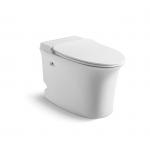 Pulse Floor Mounted Tankless Toilet Elongated With Touchless Flush for sale
