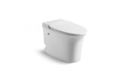 China Pulse Floor Mounted Tankless Toilet Elongated With Touchless Flush supplier