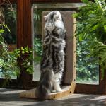 L Shape Right Angle Cat Scratching Cardboard With Ball Cat Scratching Toys for sale