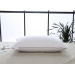 50x70cm Anti Snore Cotton Down Pillows for sale