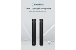 China Hypercardioid Pencil Condenser Mic For Instrument Sampling OEM ODM supplier