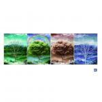 3D Flip Lenticular Poster Printing With 12x17 Inches Four Season Tree for sale