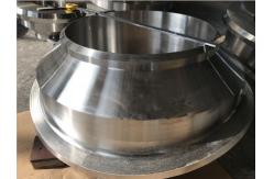 China Forged Nozzle Flange For Boiler And Heat Exchanger Application supplier