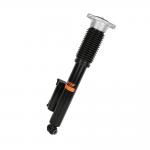 China 2533200130 A2533207600 Electric Seat Shock Absorber for Benz 253 manufacturer