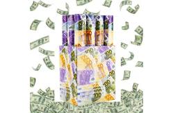 China 12-36 Inch Euro Money Filler Biodegradable Dollar Party Popper Confetti Cannon supplier