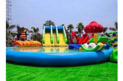 China Customized Inflatable Water Parks Swimming Pool Slides For Land supplier