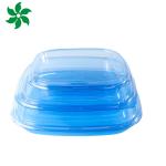 Takeaway Packaging Box Plastic For Good Food Square food container Plastic BLUE Disposable Sushi box for sale