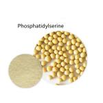 CAS 51446-62-9 Pure Extract Phosphatidylserine Fine Powder Improving Sleep Quality for sale