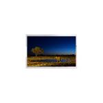9.2 inch 462*1920 AV092K5U-N10 LCD Screen for Stretched Bar LCD for sale