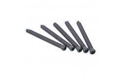 China 4.0mm Orthopedic Locking Screw supplier