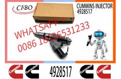 China Diesel Engines QSM11 QSM11 Injector 4928517 3411752 3411761 4307547 4928171 3411753 3037772 supplier