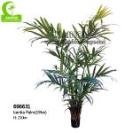 H210cm Artificial Tropical Tree , Artificial Kentia Palm Tree For Indoor Decoration for sale