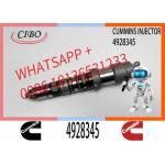 Q19 Diesel Engine Common Rail Injector 4087888 4087889 4928348 4010025 4928345 4928346