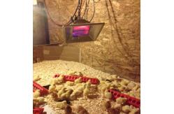 China 3900W Poultry Brooding Room LPG Heater Adjustable supplier