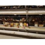 Poultry Farm Battery Chicken Cage Equipment 96 Birds / Set for sale