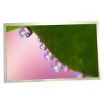 HSD100IFW2-A00 1024*600 LCD Screen module IPS LCD display panel for sale