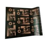 Digital Thermal Solvent Based New Polymer Plate for sale