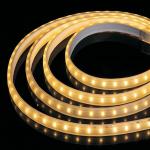 High Voltage LED Strip Light Waterproof RGB Version for sale