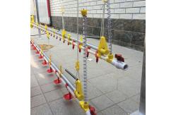 China Chicken Layer Disassembled Broiler Poultry Equipment , Nipple Drinking System supplier