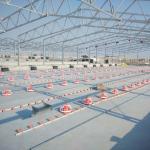 Plastic Poultry Rearing  for Optimal Performance in Poultry Farming