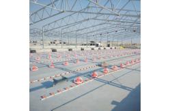 China Plastic Poultry Rearing  for Optimal Performance in Poultry Farming supplier