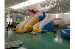 China giant shark slide water supplier