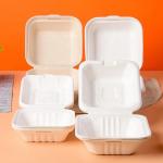 Eco Friendly Biodegradable  Sugarcane Pulp Hamburger Box Clamshell Containers 6 Inch
