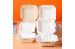 China Eco Friendly Biodegradable  Sugarcane Pulp Hamburger Box Clamshell Containers 6 Inch supplier