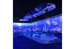 China Northern Lights 3D Holographic Projection Interactive Gaming Projector supplier
