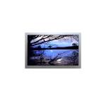 AA104SL02-CE1 10.4 inch 800*600 LCD Monitors Touch Screen Display for sale