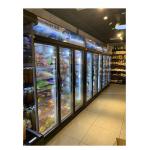 Upright Glass Commercial Display Freezer Frequency Conversion Energy Saving for sale