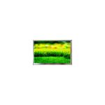 LA080WV2-TD01 LCD Screen 8.0 inch Car Navigation LCD Display for LG for sale