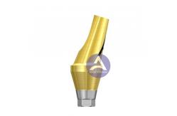 China Osstem GS(TS)® Dental Implant Titanium Angled Abutment  Mini / Regular -- 17°/30° Degree supplier