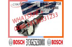 China Injector Pump 313GC5230M 313GC5230MX for DAF XF95 95XF 480 CF75-85 supplier