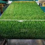 Pattern Designed Color Coating Aluminum Alloy Coil Material For Wall Fence for sale