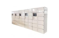 China Smart Outdoor Digital App Laundry Dry Cleaning Locker Storage Cabinet System supplier