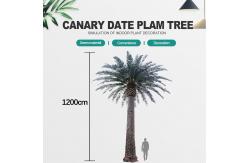 China Date Palm Garden Artificial Landscape Trees 2000cm Height UV Resistance supplier
