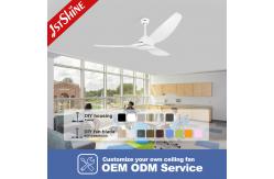 China Home Remote Timer Plastic Ceiling Fan Without Light Energy Saving supplier