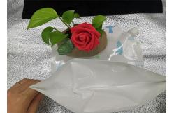 China Large Capacity 500ml Liquid Pouch With Spout , Stand Up Spout Pouch Plastic 350ml supplier
