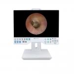 Factory Design 15 Inch FHD Camera System With Record Compatible Flexible And Rigid Endoscope for sale