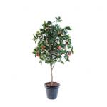 Red Party Park Decoration Artificial Apple Tree 190cm Height for sale