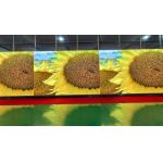 64x32 Custom SMD LED Screen P4 Indoor For Sports / Advertising , 256mm X128mm for sale