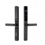 Waterproof IP65 Smart Lock for Office Tuya WIFI TTlock APP Black Silver Handle Intelligent Lock for Sliding Door for sale