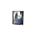 1080*1920 LPM055A409A 5.5 inch LCD Screen FOR Mobile Phone for sale