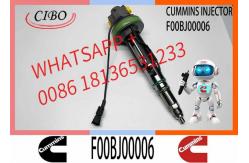 China QSK38 QSK50 QSK60 Fuel Injector F00BJ00006 2881088 0986435615 Diesel Injector supplier