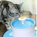 Automatic Flower M 1.6l Cat Water Bowl Fountain